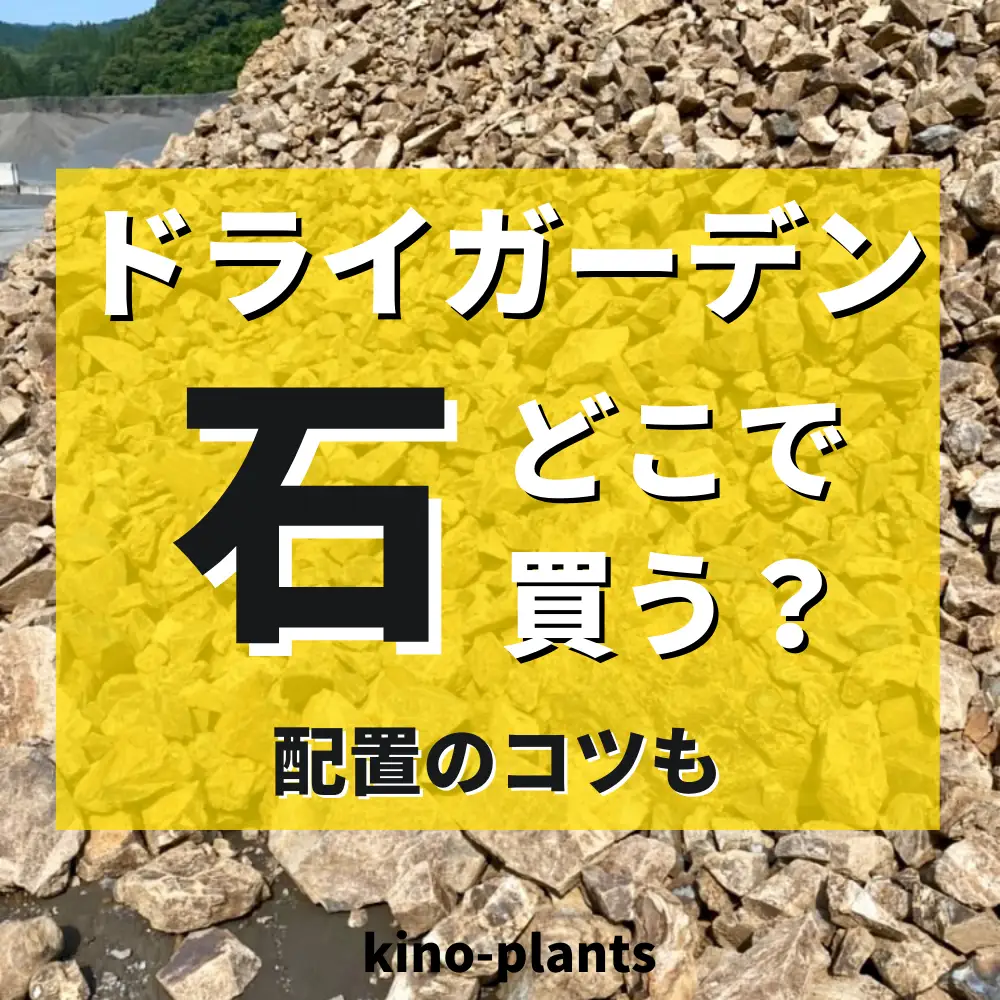 ドライガーデンの石はどこで買う？