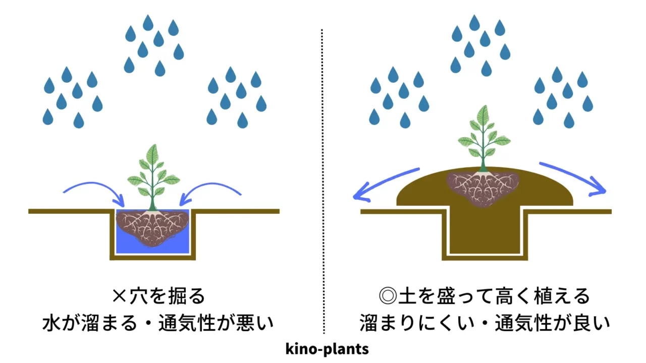 高植え、盛り土