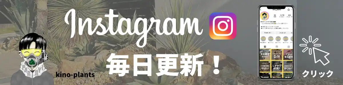 kino-plants Instagram